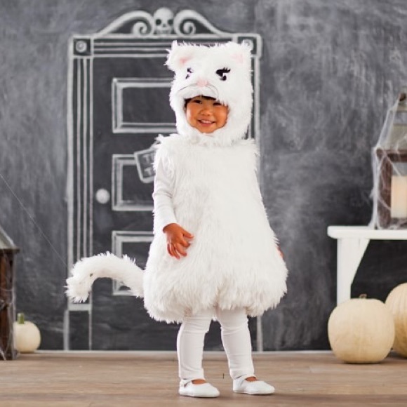 Pottery Barn Kids Costumes Pottery Barn Kids White Furry Cat